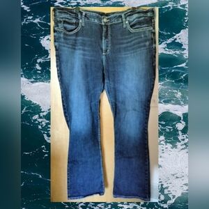 Silver Jeans Avery Slim Bootcut 22W
